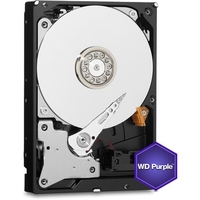 10TB 256MB SATA III 6GB/s PURP PURPLE WD