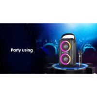 בידורית קריוקי עוצמתית W-KING T9 80W