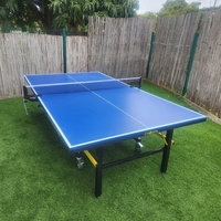 שולחן טניס שולחן חוץ מתקפל Storm15