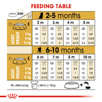 רויאל קנין גורי פודל Royal Canin 1.5 קג
