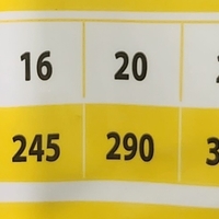 מאמינט כלב בוגר סטנדרט 20 ק