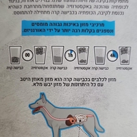 קודו  מיני ג'וניור הודו וברווז 3 ק