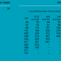 דיימונד נטורלס מגדלים 20 ק