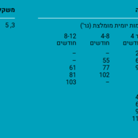 דיימונד נטורלס בוגר לחתול 3 ק