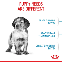 רויאל קנין גור בינוני 15 ק