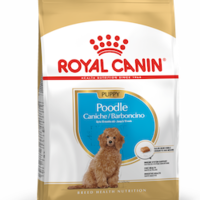 רויאל קנין גורי פודל Royal Canin 1.5 קג