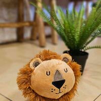 מעצור דלת אריה 1