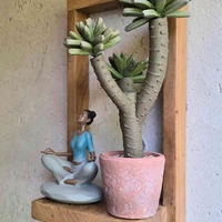 מדף עץ מסגרת