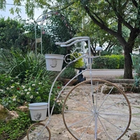 אופניים לדקורציה