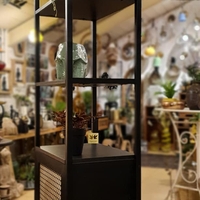 ספרית משרביה שחורה
