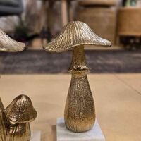 פטריית ברזל מוזהבת גדולה