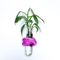 ייחורון, מתקן להשרשת ייחורים