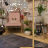 מנורת שירי זכוכית דנון