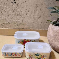 סט שלישיית כלי איחסון פרחוניים