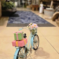 אופניים קיבוץ