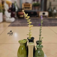מעמד אגרטלים עגול