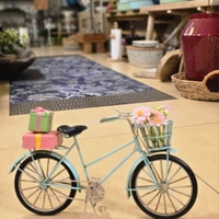 אופניים קיבוץ