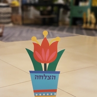 סט רביעיית פרחי ברכה
