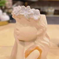 בית עציץ דמויות