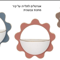אדנית/ אגרטל פרח לתליה