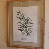 שלישיית תמונות זכוכית עלים