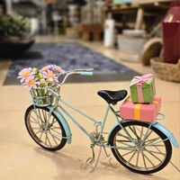 אופניים קיבוץ