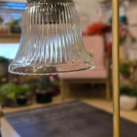 מנורת שירי זכוכית דנון