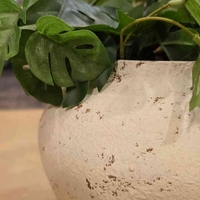 כד ברזל דגם 3