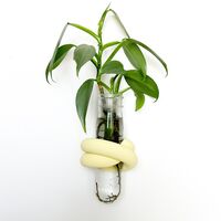 ייחורון, מתקן להשרשת ייחורים