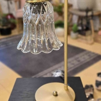 מנורת שירי זכוכית קוקיז