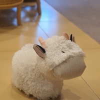 מעצור דלת פרה