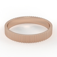 Gold Wedding Ring model WR29