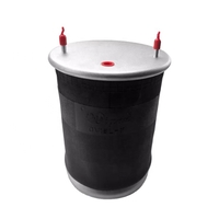 כרית אויר לנגרר לציר 2 ברגיםPEG-P104023C03ROR/SAF תחטית ברזיל