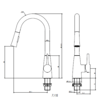 ברז נשלף נירוסטה מקלח 2 מצבים 6871 SWISS AQUA יועם