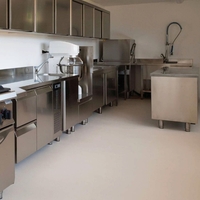 ברז נשלף למטבח תעשייתי Kitchen 7104 יועם