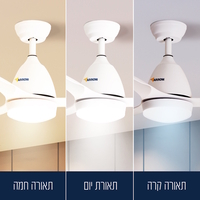 מאוורר תקרה דקורטיבי 