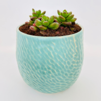 Shoshana | planter