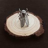 Cicada ring