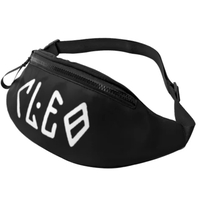 CLEO pouch