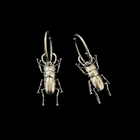 Big bug earrings