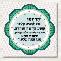 שמשונית- דגם 