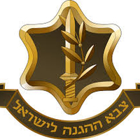 עוגה מעוצבת חרבו דרבו צה״ל (M)