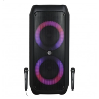 בידורית קריוקי עוצמתית ואיכותית Pure Acoustics DANCER X650