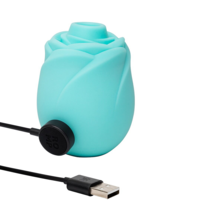 יונק הדגדגן זוהר-ROMP