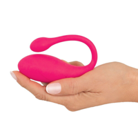 ביצת אהבה KORAL RC