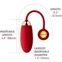 ביצת אהבה רוטטת נשלטת ע