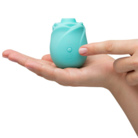 2 צעצועים לאישה ולזוגות