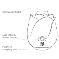 יונק הדגדגן זוהר-ROMP