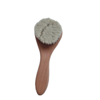 Dry Brush