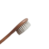 Dry Brush